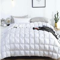 金丝莉(kintheri) 皇家轻奢白鹅绒被 JB-1070 200×230cm 1250g 白鹅绒被 单张价格