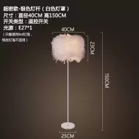 美的(Midea)创意欧式羽毛客厅落地灯卧室温馨北欧台灯装饰床头结婚庆时尚灯具 超密款-银色灯杆-遥控开关