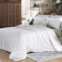 泽盟 雅士利蚕丝被 ZM-16029