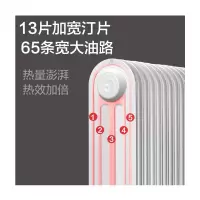 格力(GREE)电油汀NDY18-X6121