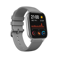 小米生态 Amazfit GTS 智能运动蓝牙手表 海豚灰 ct