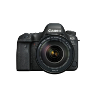 佳能单反相机(全画幅EF 24-105mmf/3.5-5.6 IS STM单反镜头)EOS 6D Mark II 6D2