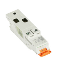 施耐德32A单匹10个