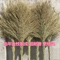 ARTISTS 扫帚 建筑工厂专用扫院子 12枝大笤帚