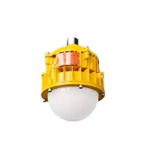 海洋王 OK8767GJ BPE应急照明灯30W调光款(单位:个)