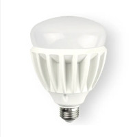 佛山照明(FSL) 超炫系列大功率LED球泡 30W 螺口 白光6500K