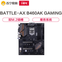 七彩虹BATTLE-AX B460AK GAMING V20 主板