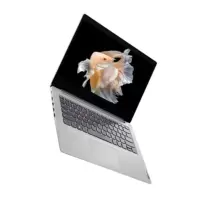 联想(Lenovo) Ideaplus-1101-14s i3 8G 512固态集显 商用笔记本