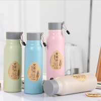 小麦秸秆麦香杯隔热玻璃水杯 10个装