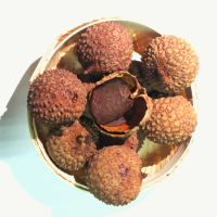 分界江记 一斤荔枝干(1袋)