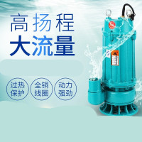 小型家用污水泵750W(单位:台)