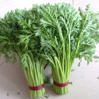 小叶茼蒿种子 1斤