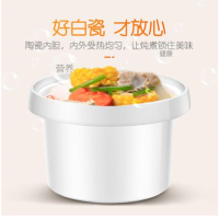 电炖锅煲汤锅炖汤锅