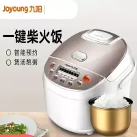 九阳电饭锅 3L