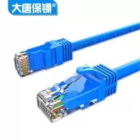 大唐保镖 六类千兆双绞网线 6类网络跳线1米 DT2808-601