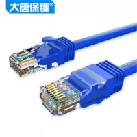 大唐保镖 超五类网线 网络跳线 非屏蔽网络连接线1米 DT2808-501