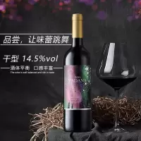 澳洲进口红酒 雅典娜星空干红葡萄酒 750ml*2瓶 双支装