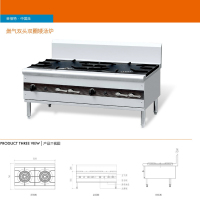 金佰特佰菲P-SPS-2燃气双头双圈矮锅炉