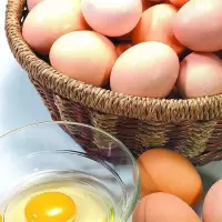 [江苏扶贫][财政集采][响水]溢香源 鲜鸡蛋30斤/筐100筐起订购
