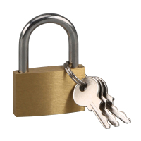 赛拓（SANTO) 铜挂锁 抽屉旅行箱包锁 30mm 0053