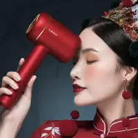 莱克-水离子吹风机F6