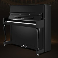 珠江钢琴(PEARL RIVER) 珠江三角钢琴 立式考级家用成人专业钢琴 Y