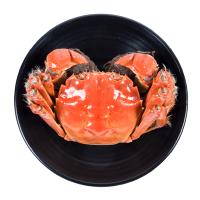 一城蟹业 大闸蟹