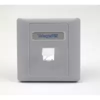 普天天纪 单口面板86型双层结构表面 单口信息面板含螺丝 型号FA3-08/C1A可装1个模块(20只/盒)