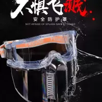 防护眼镜 哈珀牌2018透明全面具 单副装