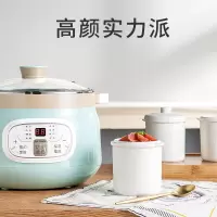 ZHMD天际 DGD16-16CWG 隔水炖