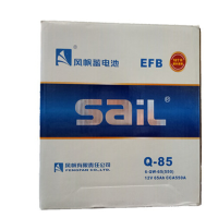 风帆(sail)6-QW-65 电瓶蓄电池 12V