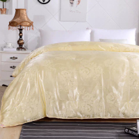 LZ 蚕丝被纯棉被面被多款花色 随机发