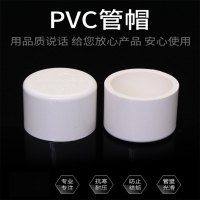 PVC水管 管帽 堵头 堵帽 白色 规格 110 mm 40个装