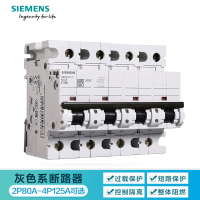 西门子空气开关断路器2、4P大功率80A 100A 125A总开关 2P80A 断路器