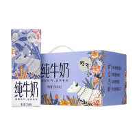 250ml奶气纯牛奶