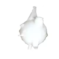 TRW 经典全顺 防冻液水壶