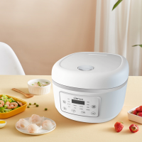 联创电饭煲DF-BL018M 白色