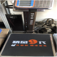 大河 电子秤 蔬果秤 计价秤计重秤 300KG电子磅秤