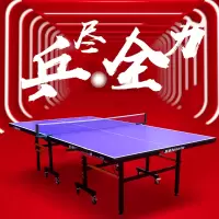 双鱼乒乓球台,配网架带网,送球拍和球