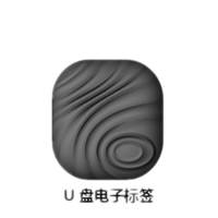 慧捷通 U盘电子标签(U盘普通版)HJT-T800
