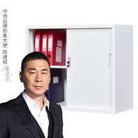 文件柜办公柜储物柜资料柜钢制铁皮柜矮柜铁门移门柜760*900*400