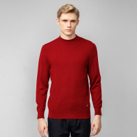 鄂尔多斯 | MEN'S 春秋纯羊毛简约保暖半高领男士羊毛衫毛衣