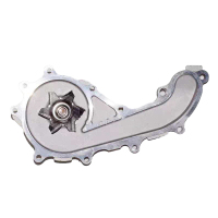 正大摩王 猎豹Q6 水泵