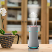 荣创 小蛮腰创意USB迷你桌面三合一多功能车载空气加湿器