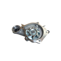 正大摩王 猎豹CS6 水泵总成