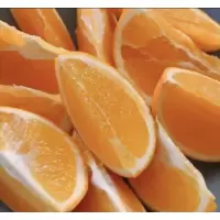橙子(5斤整件装均果)