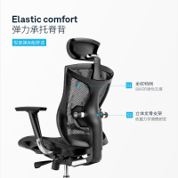 西昊(SIHOO) 人体工学电脑椅子 办公椅老板转椅 电竞椅家用网布座椅 V1 黑色