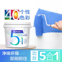 企采严选 彩色油漆涂料 白色 2L=2KG