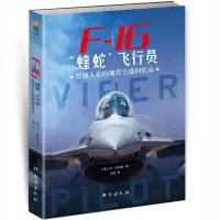 F-16蝰蛇飞行员:震撼人心的现代空战_2020b999500