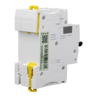 巴诺(BANUO) 塑壳断路器 施耐德 iC65N 2P D10A 单个装